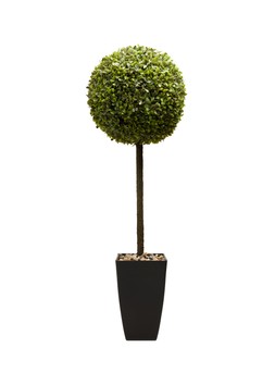 Matalan Faux Topiary £35