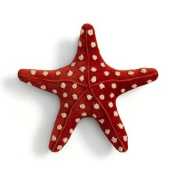 Starfish wall head £8