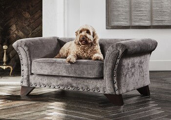 https://az.prshots.co.uk/contents/archives/194/254/images/thumb350x287_auto/furniture_village_furniture-village-holly-fabric-pet-bed-with-st_74115_thumb.jpg