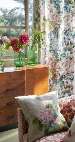 GRANDIFLORA ROSE COLLECTION