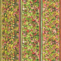 Sanzai in persimmon (fabric) FDG3164/02
