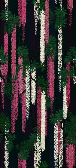 WISTERIA ALBA MAGENTA WALLPAPER