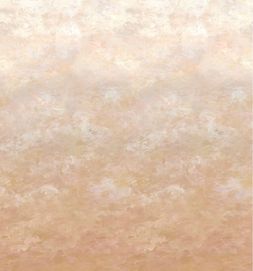 CHETTINAD_SHELL_PDG1136_03