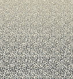 ODISHA_GRAPHITE_PDG1138_01