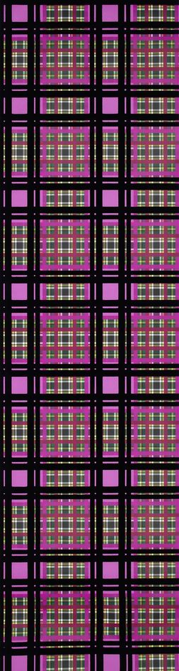 CHENNAI_FUCHSIA_PDG1143_01