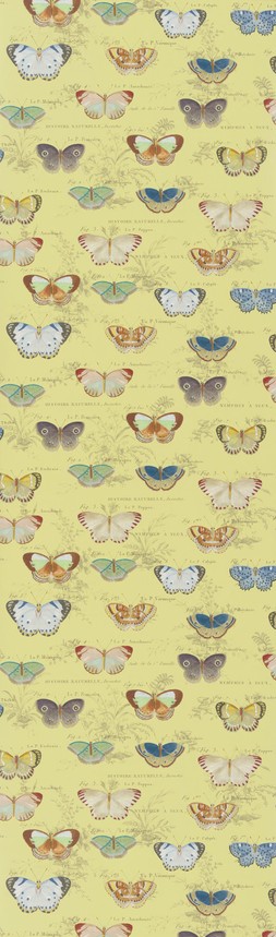 AW23 John Derian F&W Flatshots