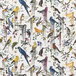 BIRDS SINFONIA - PERCE-NEIGE