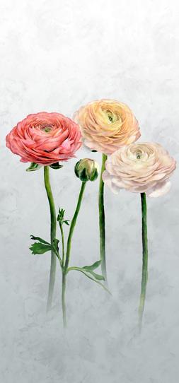 TOURANGELLE SCENE 2 - PEONY