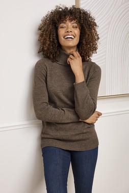 Lambswool Rich Roll-Neck Jumper £39 AL11748