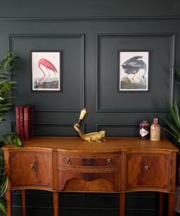 Great Blue Heron And Flamingo Framed Prints Set Of 2 £40