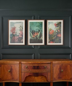 Tropical Floral Framed Prints Set Of 3 £75