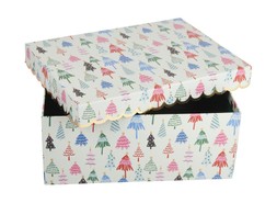 homesense christmas box £4.99