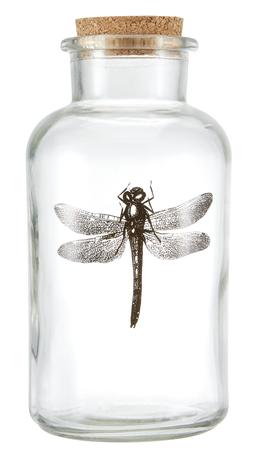 Glass Jar with Cork Stopper