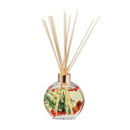 Home Scents Cinnamon Evergreen Diffuser £6.99, €10.99