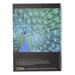 Homesense - peacock Notebook, &pound;5.99 (5)