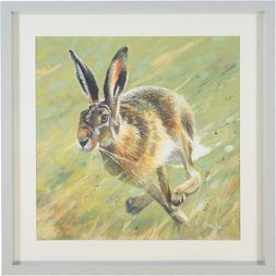 Homesense Rabbit Wall Art