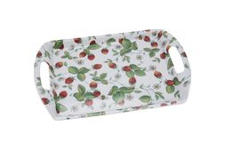plastic tray &pound;5.99