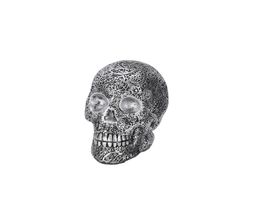 silver and black skull