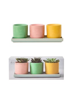 Punta Ceramic Plant Pots Set of Three £32.50
