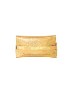 Gold Metallic Iridescent Sunglasses Case £18