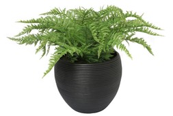 B&M GARDEN SS26 // PLANTERS, POTS & FOLIAGE // XL RIBBED PLANTER WITH ARTIFICIAL FERN IN BLACK POT // £25 //
