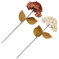 Cream & Brown Hydrangea Stem £2.50 each