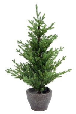 Norway Potted Tree Pre-Lit Outdoor tree 90cm