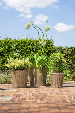 POLYRATTAN NATURAL LINED PLANTER H40CM D36CM &pound;39.99