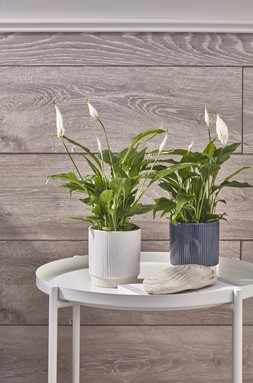 Athens Reactive Glaze Ribbed Planter Blue H11.5cm D11.5cm &pound;9.99