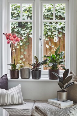 DENVER PLANTER IN WALNUT AND PEWTER £5.99 TO £9.99