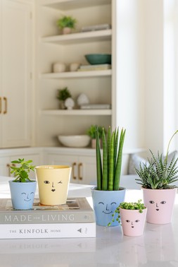 FACE PLANTER £5.99 -£6.99