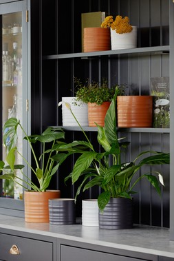 Hadleigh Matte Amber Planter H13cm D14cm &pound; &pound;11.99
