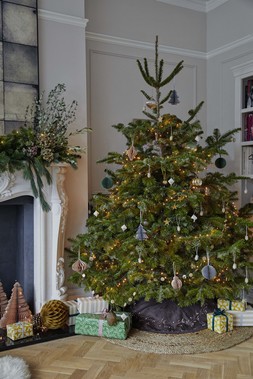 MOCHA VELVET MISLETOE TREE SKIRT £59.99