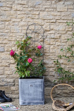 OUTDOOR CYLINDER TRELLIS
