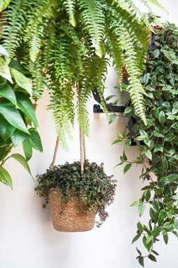 Odda Hanging Natural Woven Lined Planter H14cm D17cm &pound;11.49