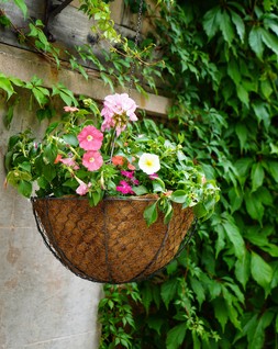 OUTDOOR HANGING WIRED NETTED BASKET ZINC &pound;39.99