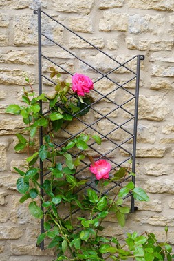 OUTDOOR LINEAR TRELLIS ZINC &pound;59.99