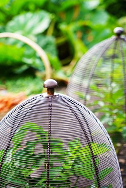 OUTDOOR WIRED PLANT PROTECTOR BRONZE H48CM W36CM