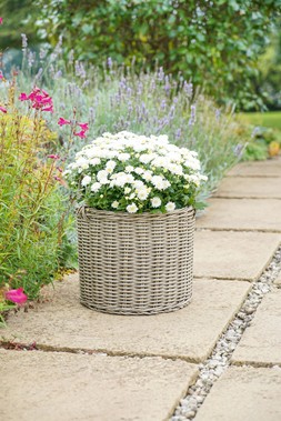 POLYRATTAN LINED PLANTER NATURAL H36CM D35CM &pound;44.99