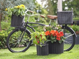 POLYRATTAN SET OF TWO LINED PLANTERS WILLOW &pound;79.98