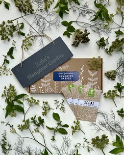 Grow Your Own Hangover Recovery Garden