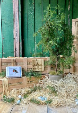 The Wild Christmas Crate