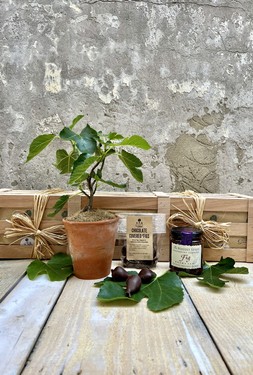 EXTRA FIG CRATE