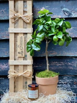 The Lemon Crate