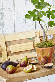 https://az.prshots.co.uk/contents/archives/4061/1655/images/thumb350x287_auto/the_gluttonous_gardener_5th-wedding-anniversary-personalised-fig_8d2e2_thumb.jpg