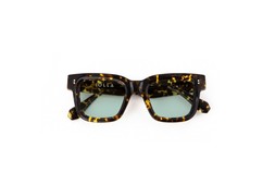 Brodie in Classic Tortoise with Seabreeze Lenses