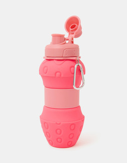 Girls Collapsible Strawberry Water Bottle