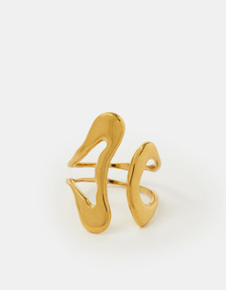 Stainless Steel Fluid Adjustable Ring