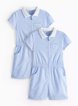 Tu-2 Pack Blue Gingham Playsuits2